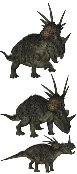 Styracosaurus Стокова Картинка