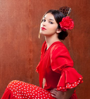 Flamenko dansçısı İspanya kadın çingene kırmızı gül