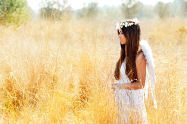 Angel girl in golden field with feather white wings clipart