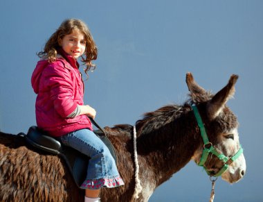 Donkey mule with kid little girl riding happy clipart