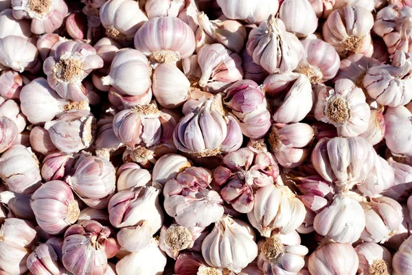 Struttura a motivi di aglio nel mercato alimentare — Foto Stock