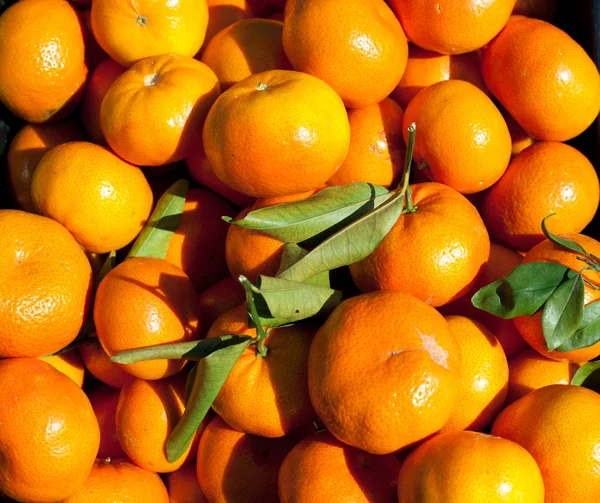 Fruchtorangen Muster auf dem Markt — Stockfoto