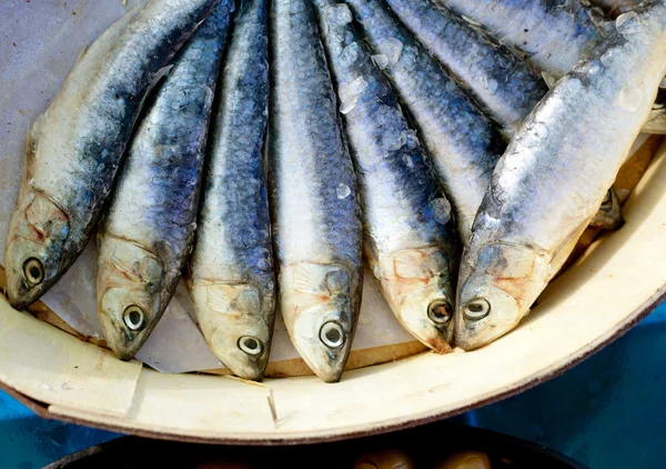 Brine salted sardines in round wood box — Stock Photo, Image