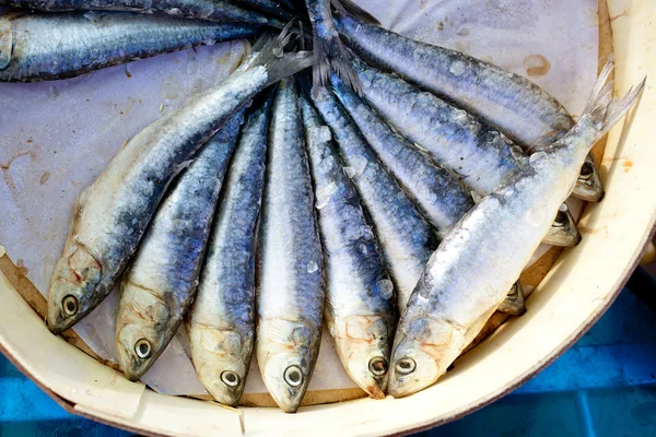 Stock image Brine salted sardines in round wood box