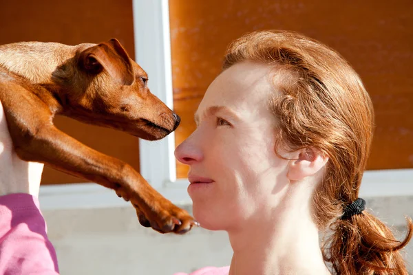 茶色のミニ ・ ショートヘアード ・ ピンシャーの犬、赤毛の所有者 — ストック写真