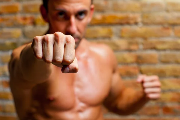 Bokser mięśni kształcie człowieka pięści do aparatu — Zdjęcie stockowe