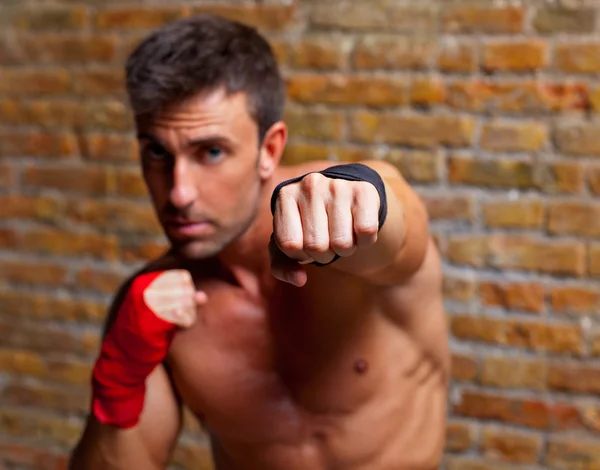 М'язовий боксер у формі людини кулак на камеру — стокове фото