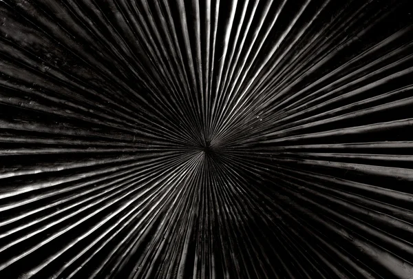 Madeira preta esculpida com textura de forma radial — Fotografia de Stock