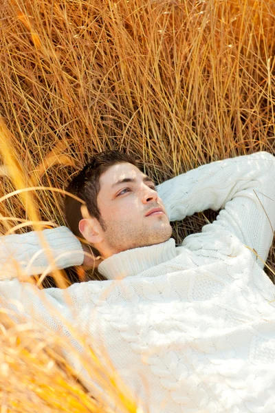 Autumn winter man portrait laying in golden grass — Stock Photo, Image