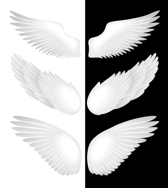 Skrzydła aniołów — Wektor stockowy