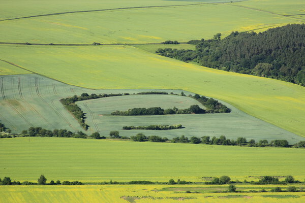 Пахотная земля
