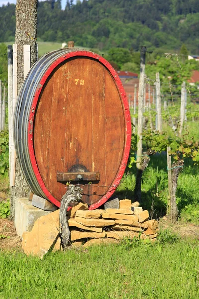 Wine barrel in the vineyard — Stock Photo, Image