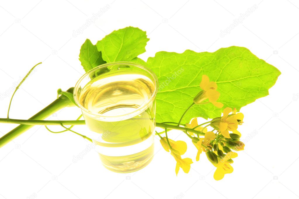 Rapeseed and vegetable oil