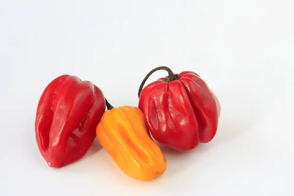 Chili de linterna roja y amarilla —  Fotos de Stock
