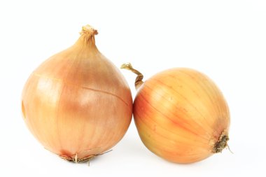 Onions clipart