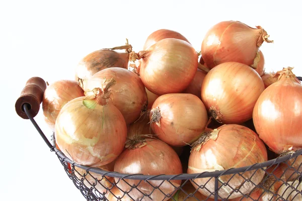 Onions — Stock Photo, Image