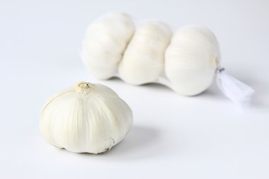 Garlic clipart