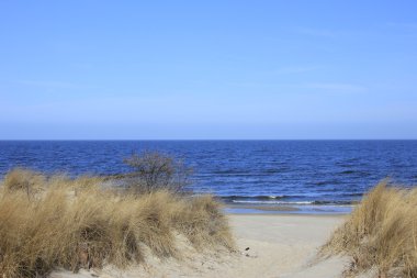Baltık Denizi