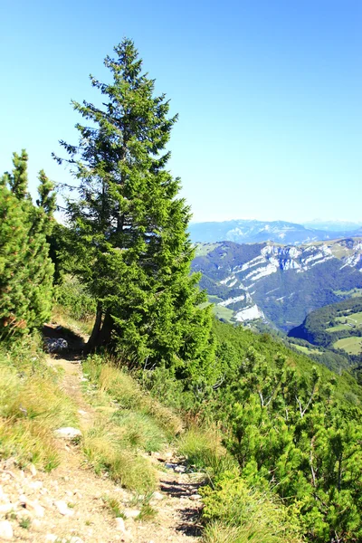 stock image Monte Baldo