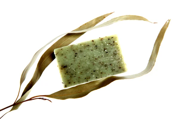 Mýdlo s eukalyptus — Stock fotografie