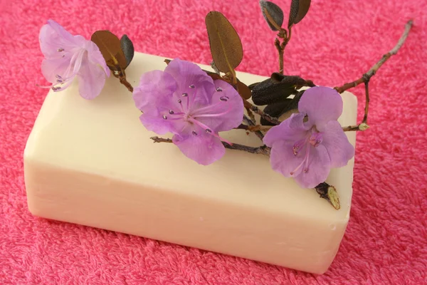 Flower soap — Stock Photo, Image