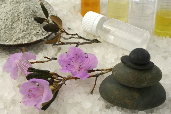 Zen-Steine, Aromaöle und Ton Stockbild