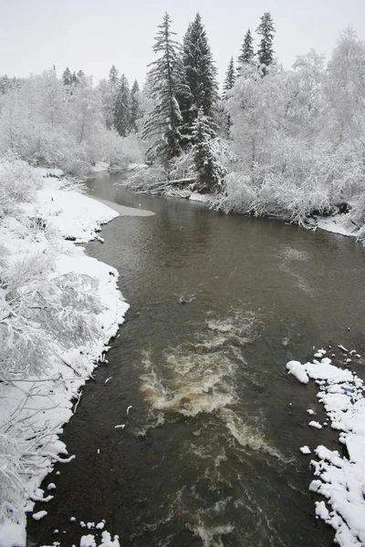 Kış nehir Stok Resim