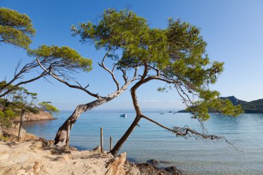 Porquerolles Adası Fransa