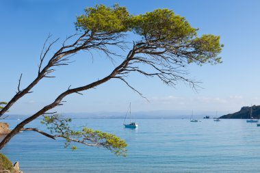 Porquerolles Adası Fransa