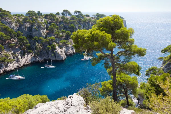 Calanques of Port Pin in Cassis — Stock Photo, Image