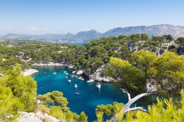 Calanques of Port Pin in Cassis clipart