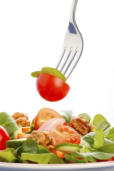 Salată pe furculiță — Fotografie, imagine de stoc