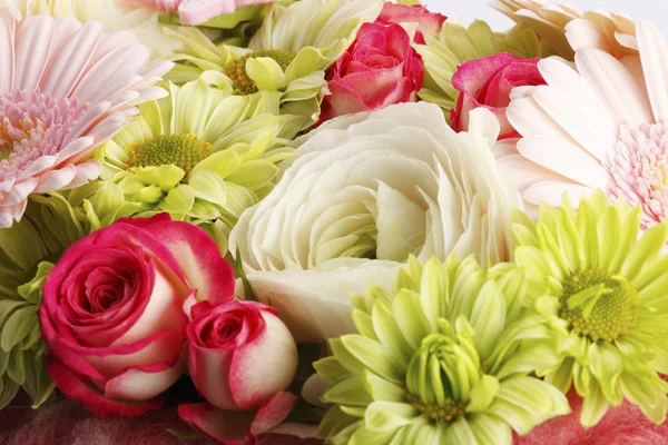Colorful flower background — Stock Photo, Image