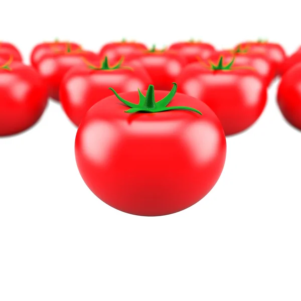 Tomater saftig färsk röd — Stockfoto