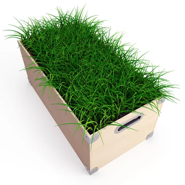 Box with grass — Stock Photo, Image