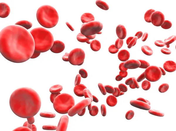Клетки крови — стоковое фото