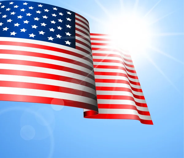 Vektor flagga i USA — Stock vektor