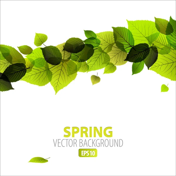 Primavera abstrato fundo floral — Vetor de Stock