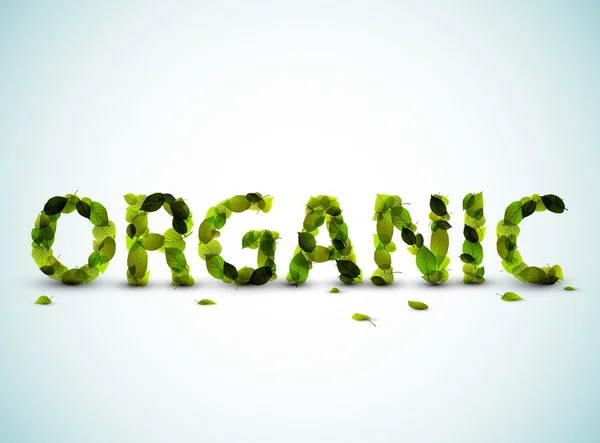 Orgánica - palabra vectorial hecha de hojas verdes frescas — Vector de stock