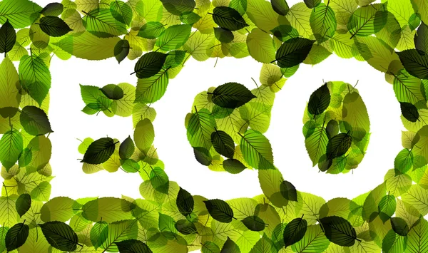 Eco vettoriale parola fatta da foglie — Vettoriale Stock