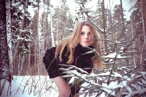 Kış ormanında güzel genç bir kadın — Stok fotoğraf
