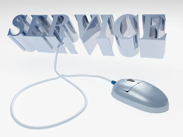 Stříbrný počítač myš a slovo služby - internetové koncepce — Stock fotografie