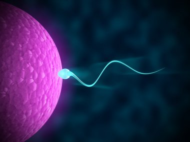 sperm yumurta içinde karanlık bir arka plan karşı Yüzme