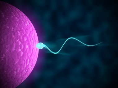 Sperm swimming towards the egg in a dark background clipart