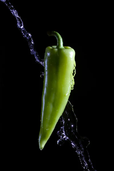 Green pepper splashed by water — Stock Photo, Image