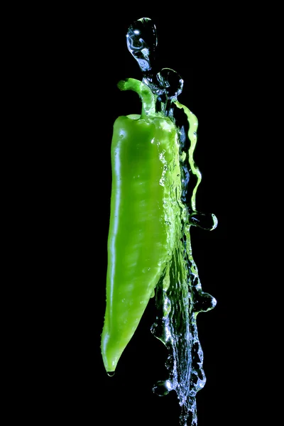 Stock image Green pepper splashed by water