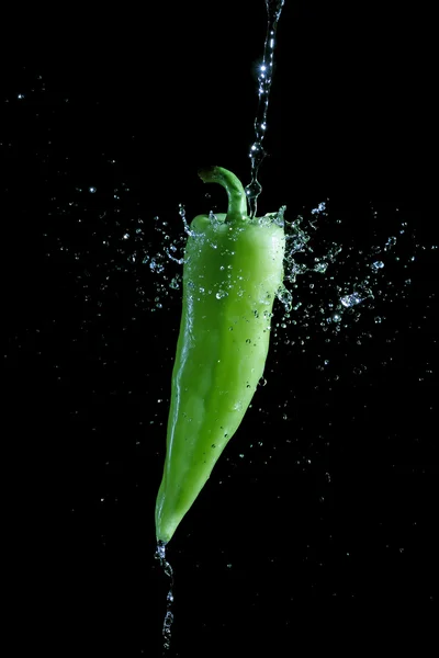 Green pepper splashed by water — Stock Photo, Image