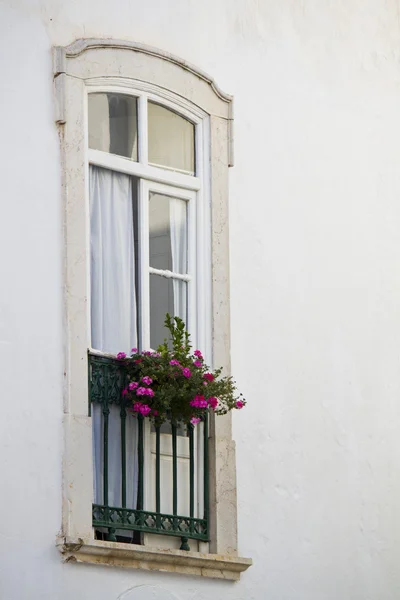 Portugalski okno — Zdjęcie stockowe