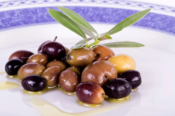 stock image Plate with olives