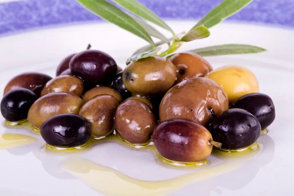 stock image Plate with olives